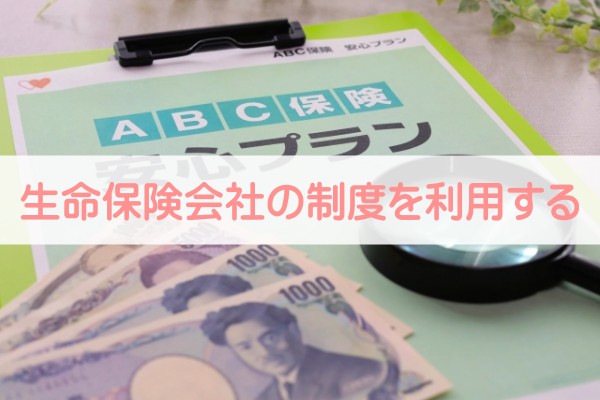 生命保険会社の制度を利用する